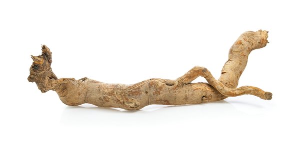 Tongkat ali : un complément pour augmenter vos performances sportives